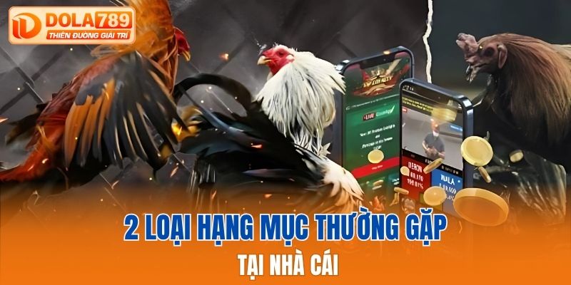 2 loại hạng mục thường gặp tại nhà cái