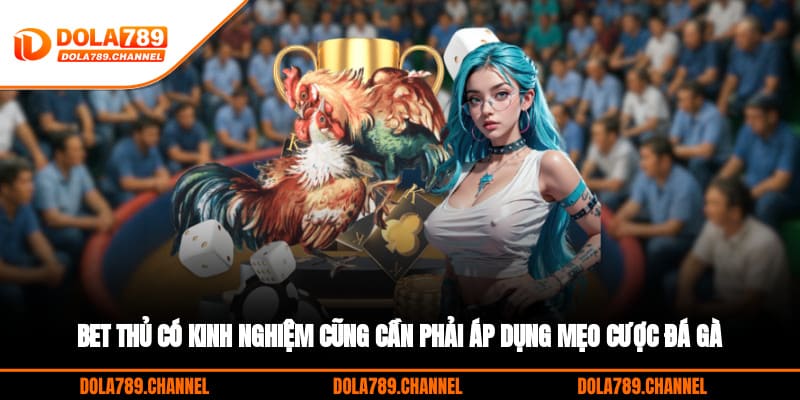 Bet thủ có kinh nghiệm cũng cần phải áp dụng mẹo cược đá gà Bet thủ có kinh nghiệm cũng cần phải áp dụng mẹo cược đá gà