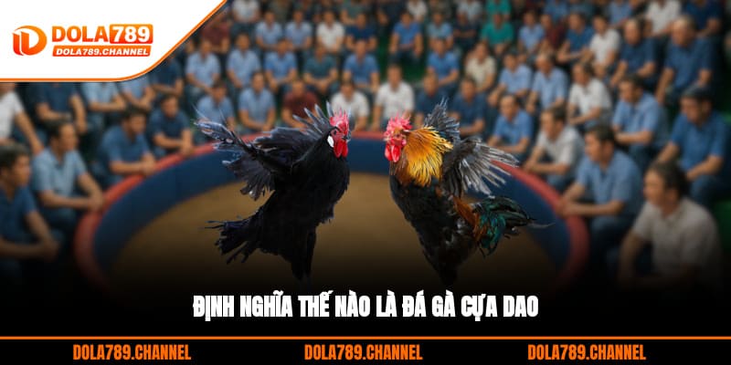 Định nghĩa thế nào là đá gà cựa dao Định nghĩa thế nào là đá gà cựa dao