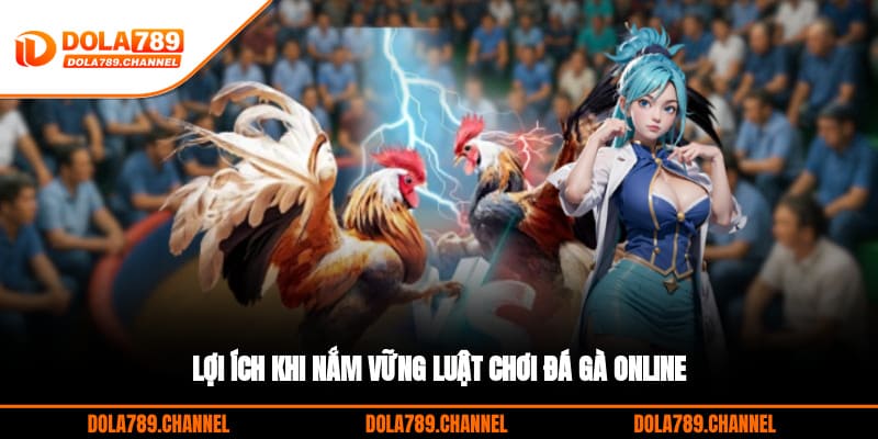 Lợi ích khi nắm vững luật chơi đá gà online Lợi ích khi nắm vững luật chơi đá gà online