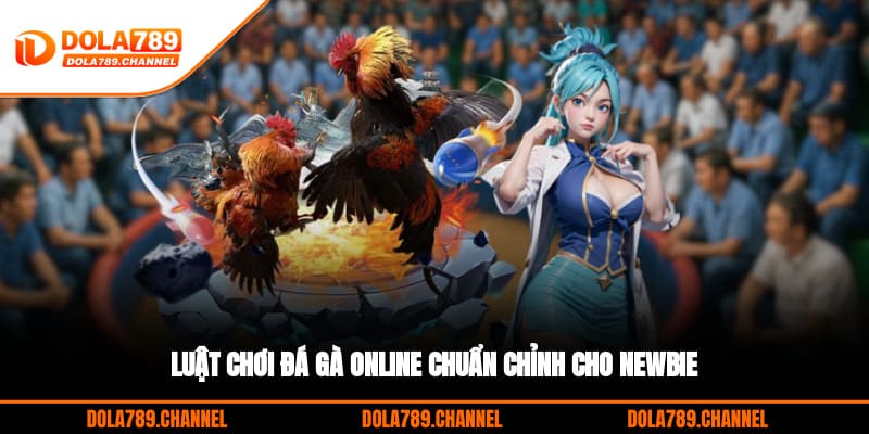 Luật chơi đá gà online chuẩn chỉnh cho newbie Luật chơi đá gà online chuẩn chỉnh cho newbie