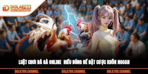Luật Chơi Đá Gà Online - Hiểu Đúng Để Đặt Cược Khôn Ngoan