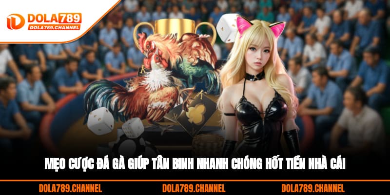 Mẹo cược đá gà giúp tân binh nhanh chóng hốt tiền nhà cái Mẹo cược đá gà giúp tân binh nhanh chóng hốt tiền nhà cái