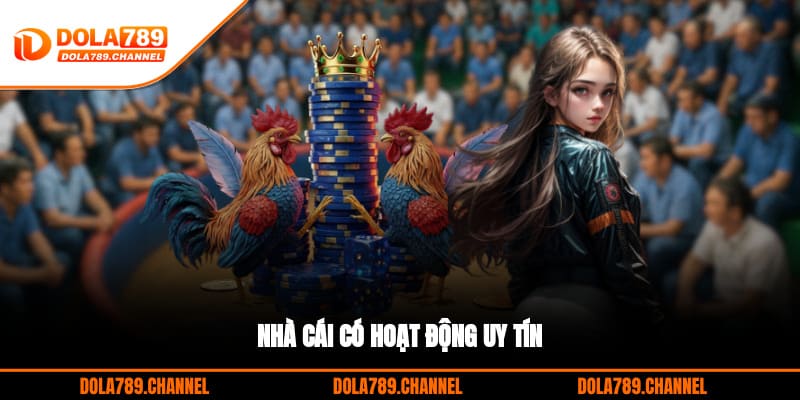 Nhà cái có hoạt động uy tín Nhà cái có hoạt động uy tín