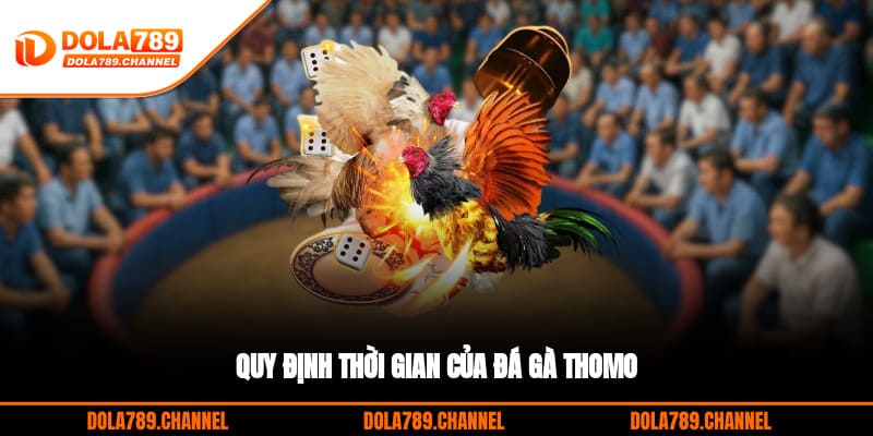 Quy định thời gian của đá gà thomo Quy định thời gian của đá gà thomo