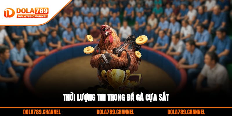 Thời lượng thi trong đá gà cựa sắt Thời lượng thi trong đá gà cựa sắt