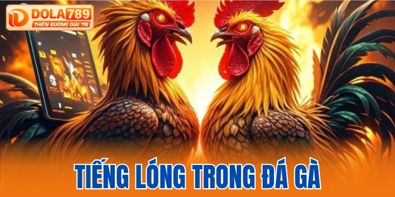 Tiếng lóng trong đá gà