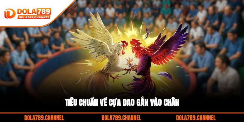 Tiêu chuẩn về cựa dao gắn vào chân Tiêu chuẩn về cựa dao gắn vào chân
