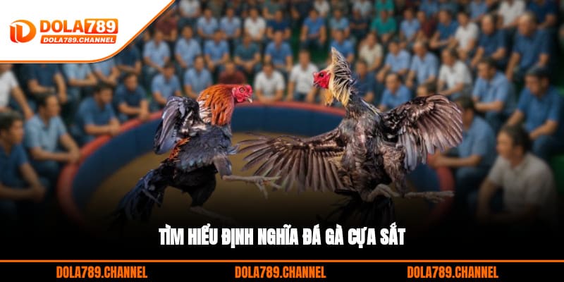 Tìm hiểu định nghĩa đá gà cựa sắt Tìm hiểu định nghĩa đá gà cựa sắt