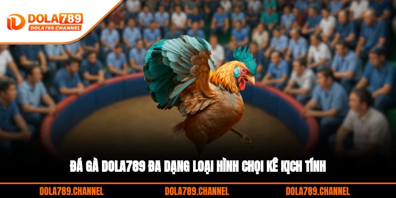 Đá gà DOLA789 đa dạng loại hình chọi kê kịch tính Đá gà DOLA789 đa dạng loại hình chọi kê kịch tính