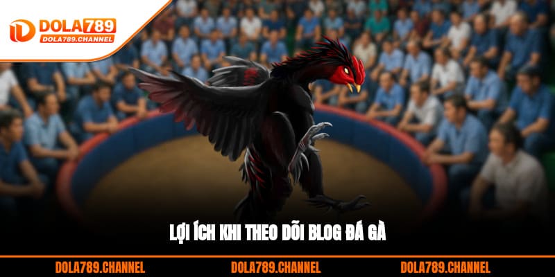 Lợi ích khi theo dõi Blog đá gà Lợi ích khi theo dõi Blog đá gà